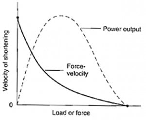 Force Velocity Power Curve