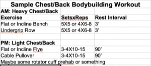 Two a Day Chest and Back Workout