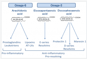 Pathways of Inflammation