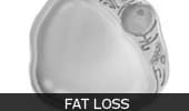 Fat Loss Category Image