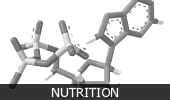 Nutrition Category Image