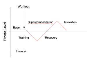 Supercompensation Model of Training