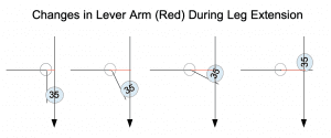 Changes in Lever Arm During Leg Extension